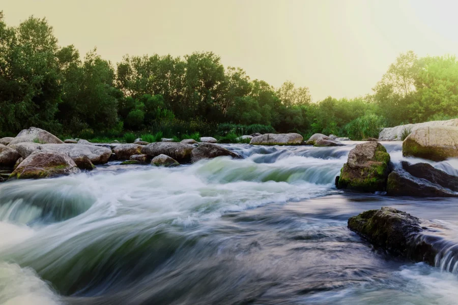Water Law